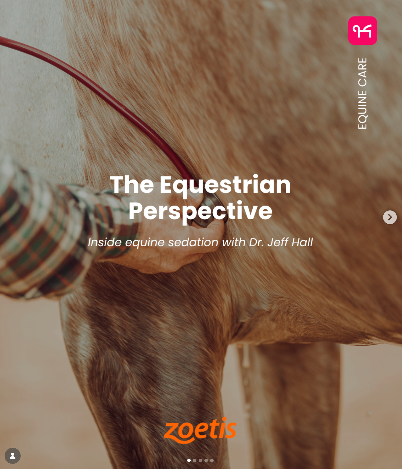 The Equestrian Perspective - partnership with Zoetis
